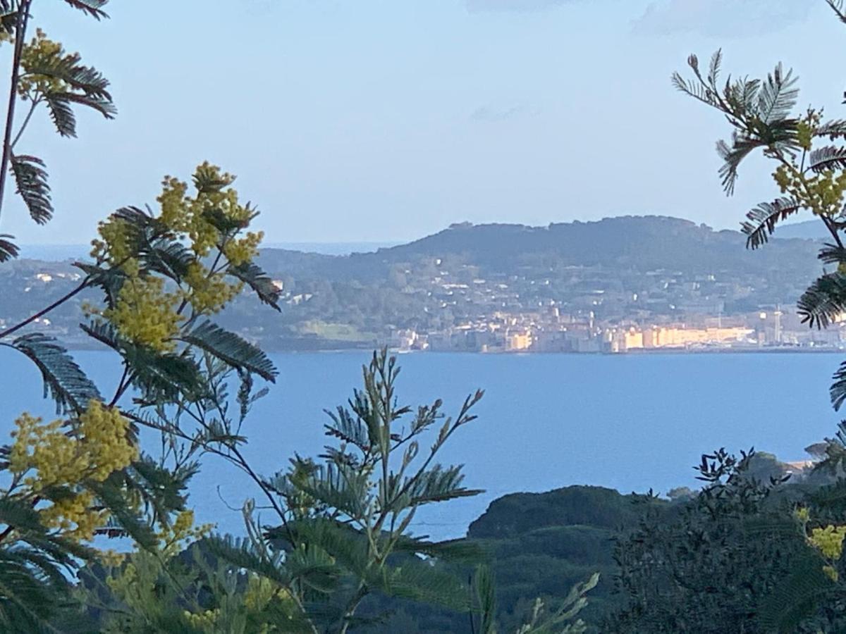 Le Grand Large Appartement Sainte-Maxime Buitenkant foto